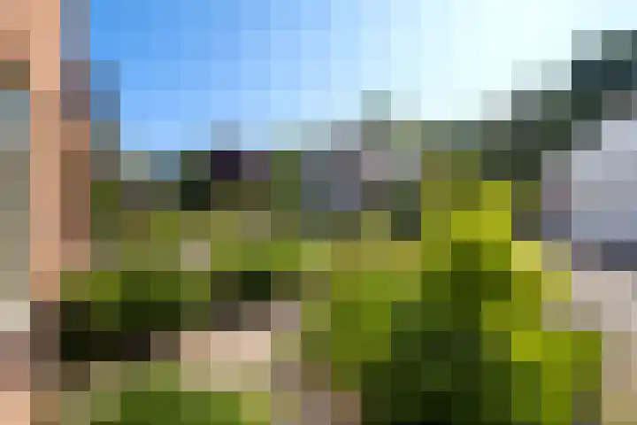 Oostergo 11 Dronten thumbnail 31