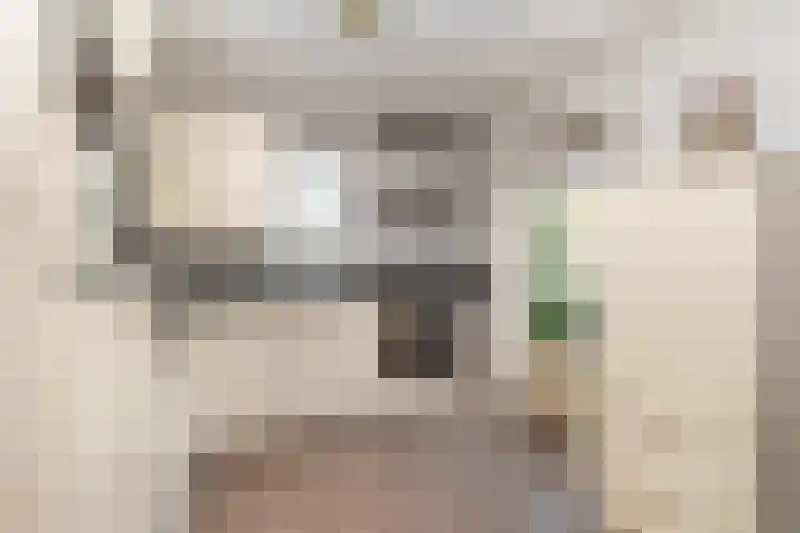 Oostergo 11 Dronten thumbnail 4