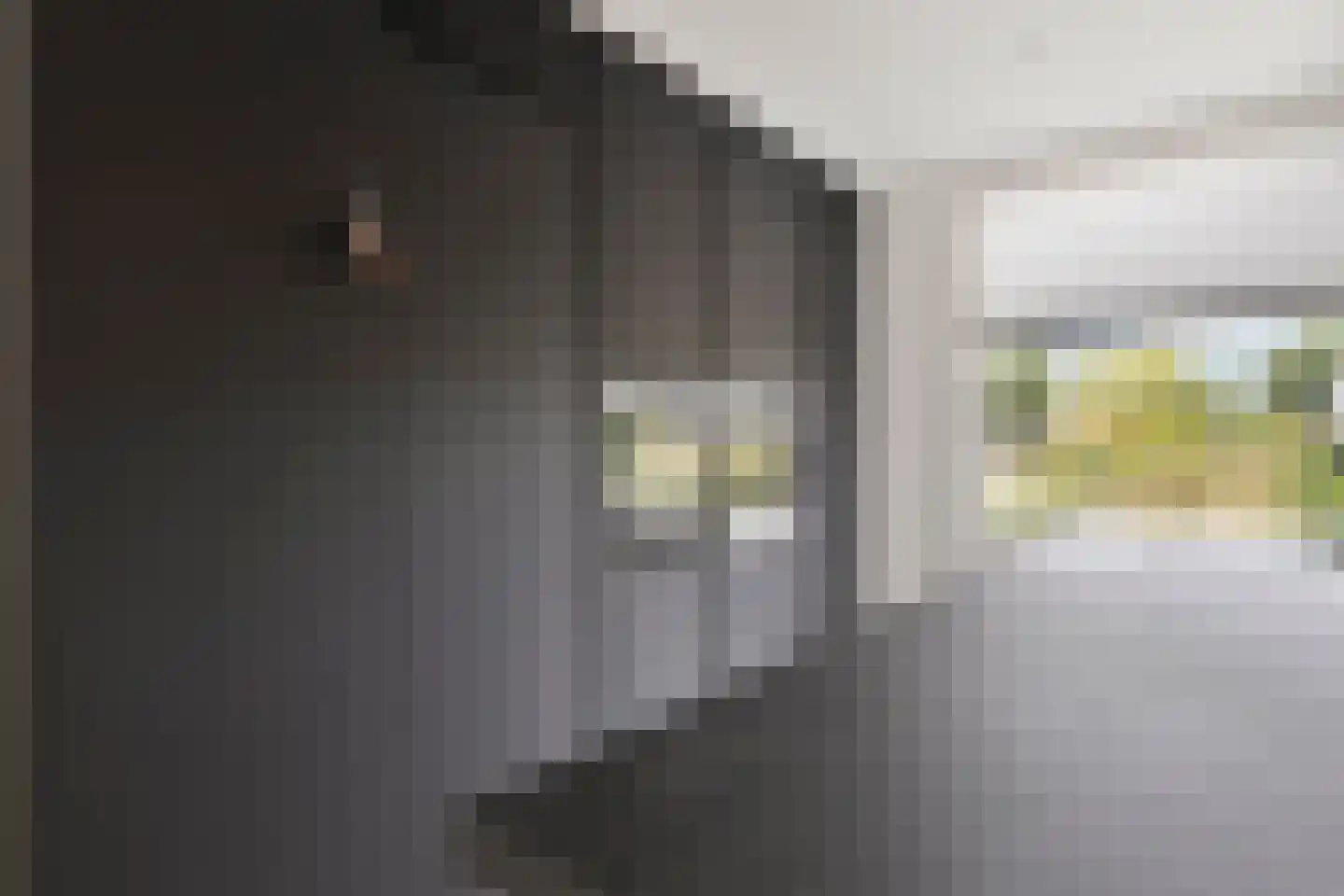 Oostergo 11 Zoetermeer thumbnail 23