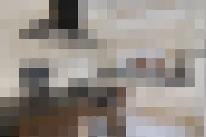 Oostergo 14 Dronten thumbnail 18
