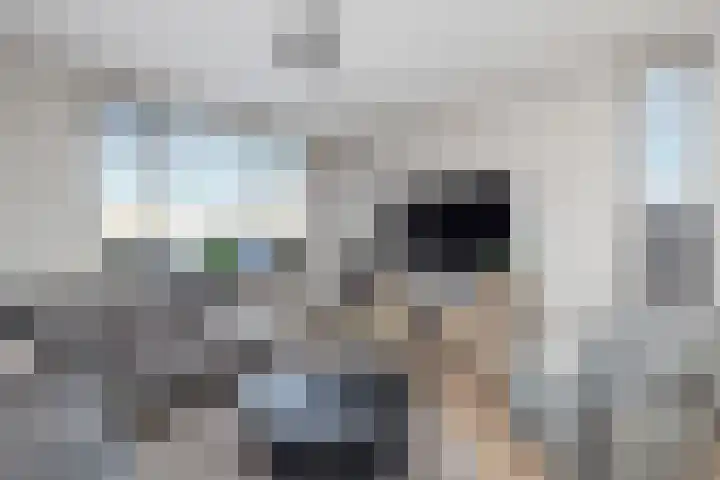 Oostergo 14 Veendam thumbnail 10