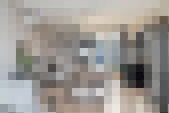 Oostergo 14 Veendam thumbnail 12