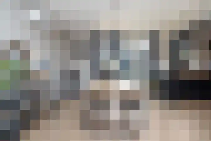 Oostergo 14 Veendam thumbnail 14