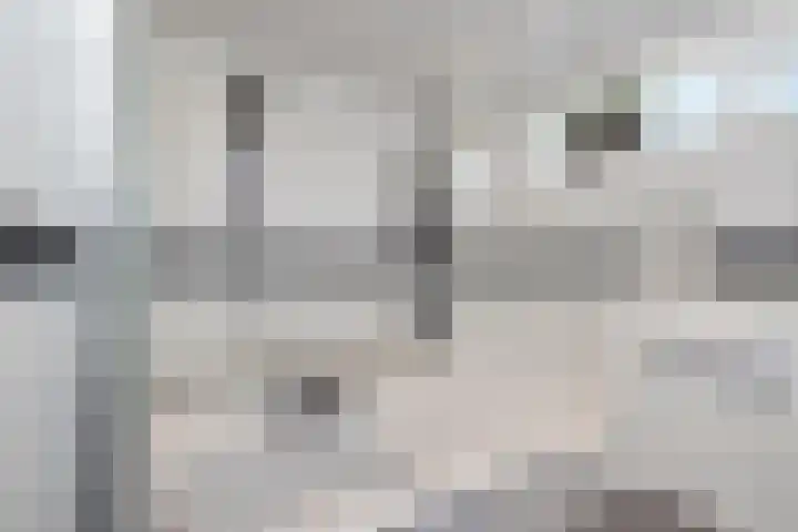 Oostergo 14 Veendam thumbnail 29