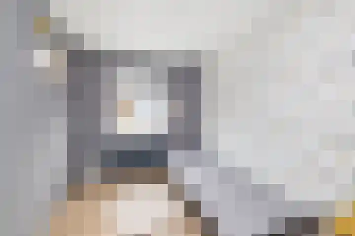 Oostergo 14 Veendam thumbnail 36