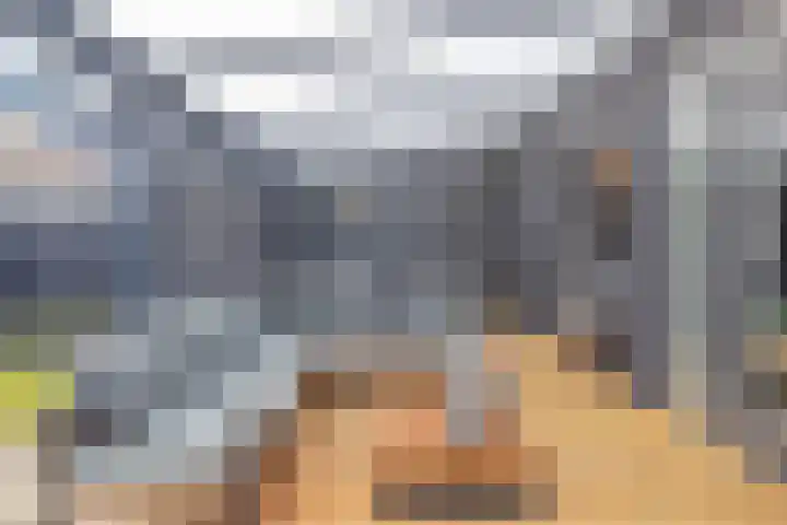 Oostergo 14 Veendam thumbnail 47