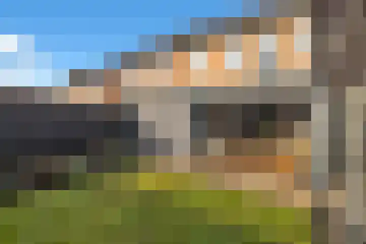 Oostergo 14 Veendam thumbnail 59