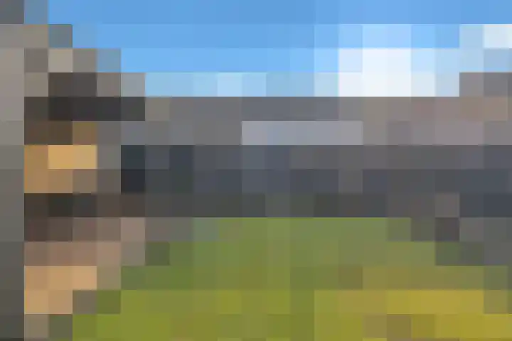 Oostergo 14 Veendam thumbnail 60