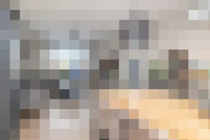 Oostergo 14 Veendam thumbnail 7
