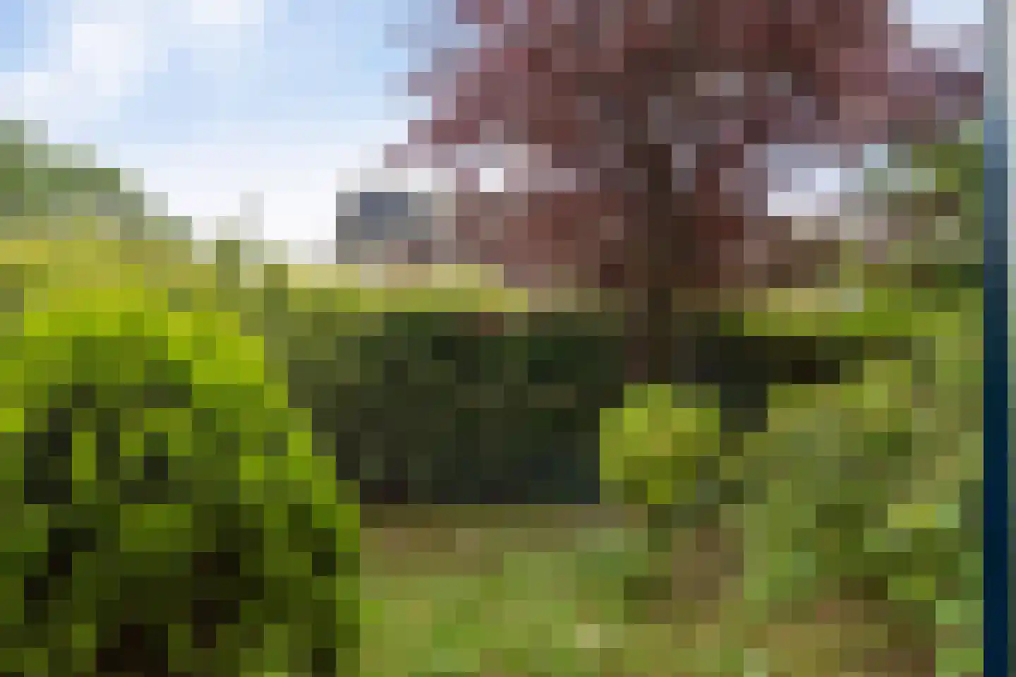 Oostergo 2 Emmeloord thumbnail 19