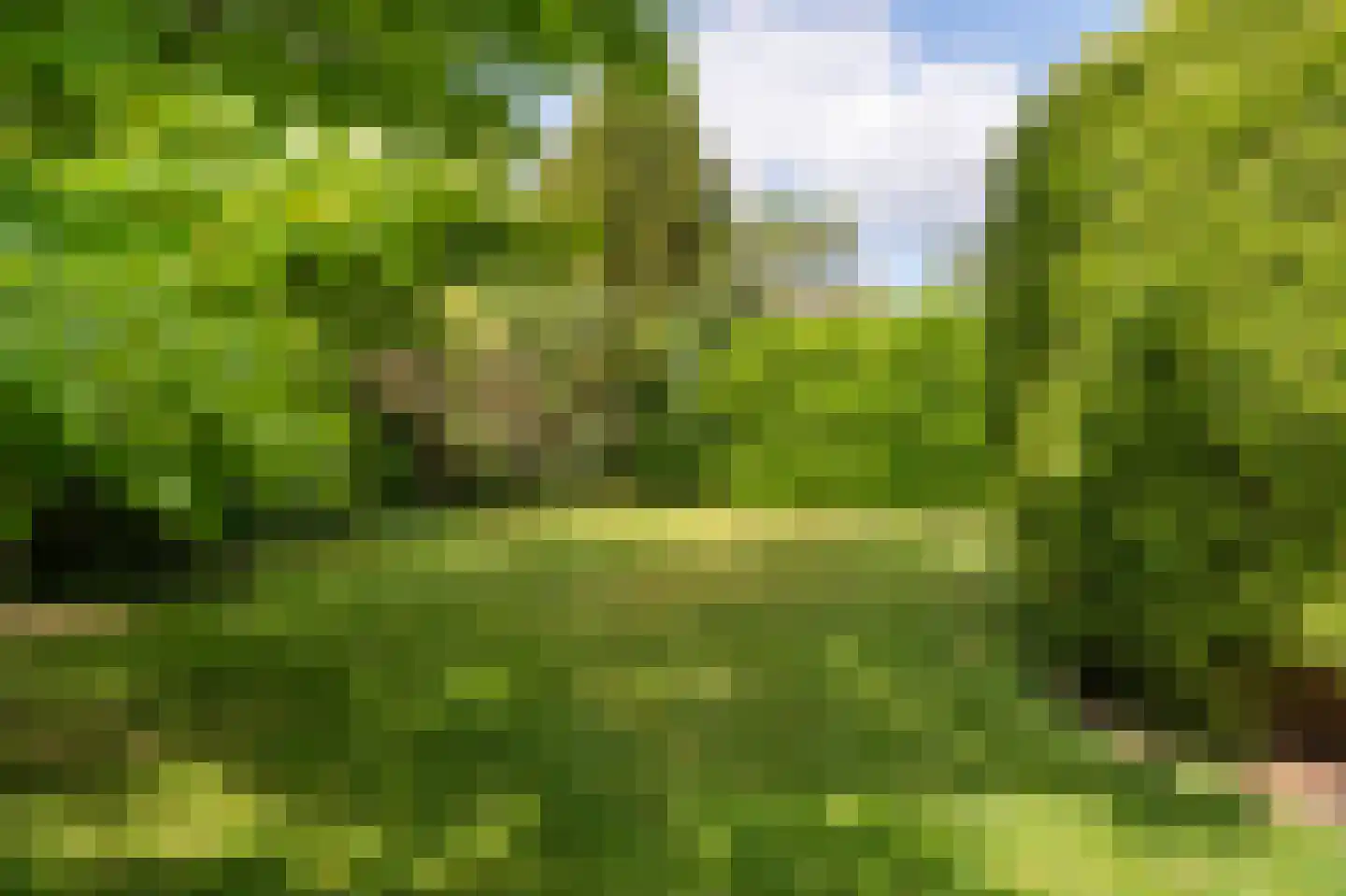 Oostergo 2 Emmeloord thumbnail 20