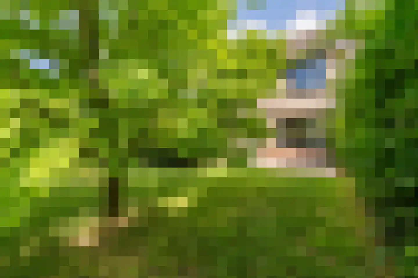 Oostergo 2 Emmeloord thumbnail 21