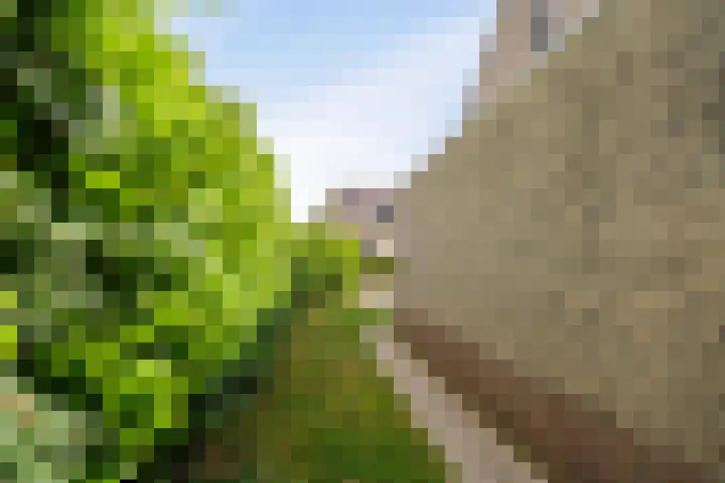 Oostergo 2 Emmeloord thumbnail 24