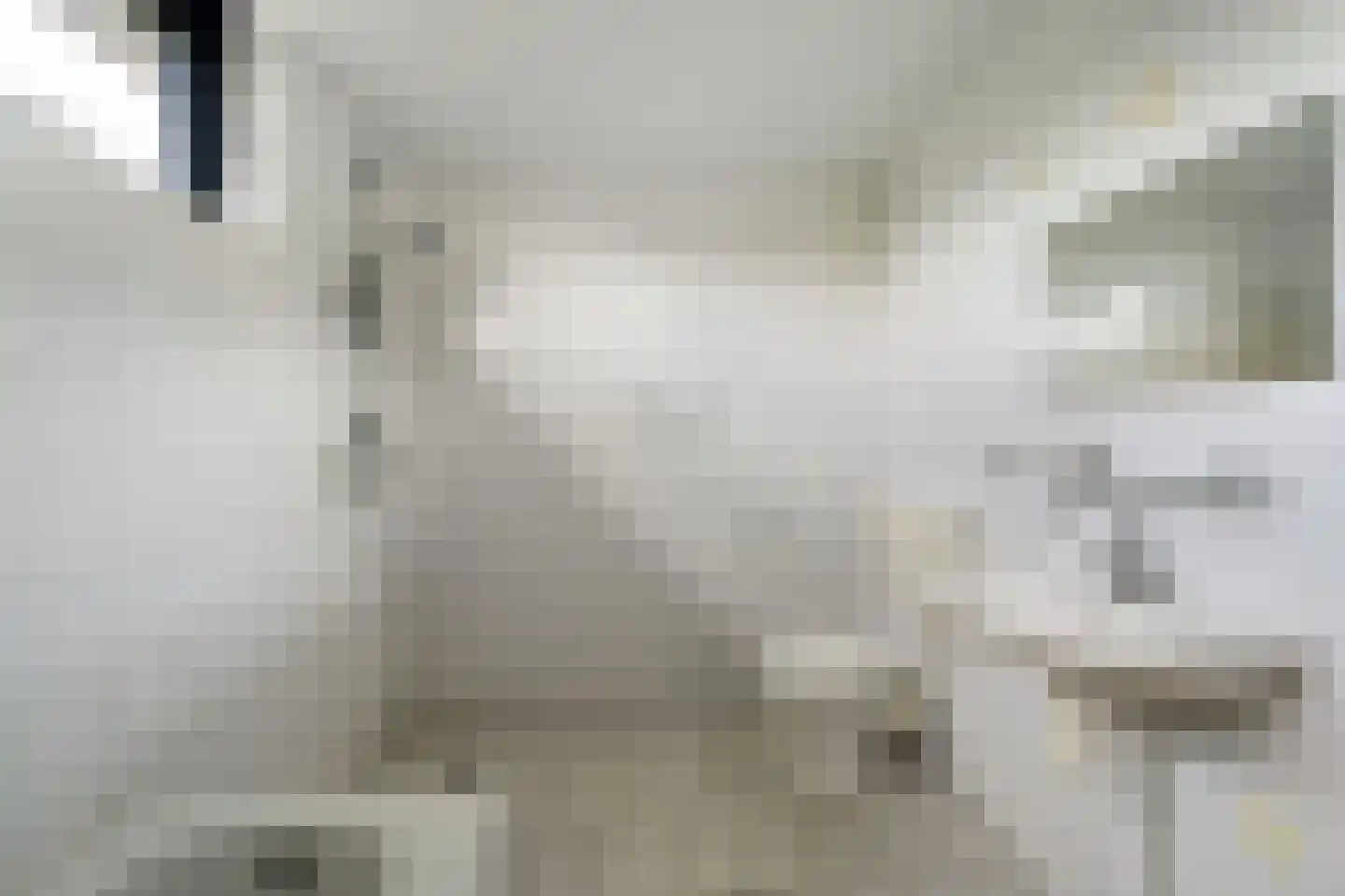 Oostergo 2 Emmeloord thumbnail 33