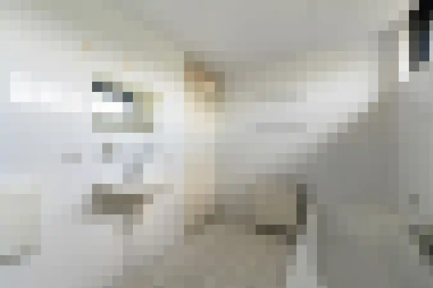 Oostergo 2 Emmeloord thumbnail 34