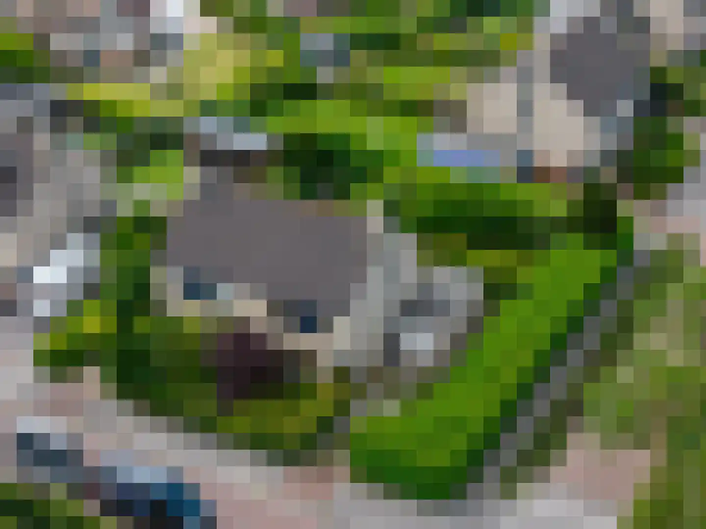 Oostergo 2 Emmeloord thumbnail 5