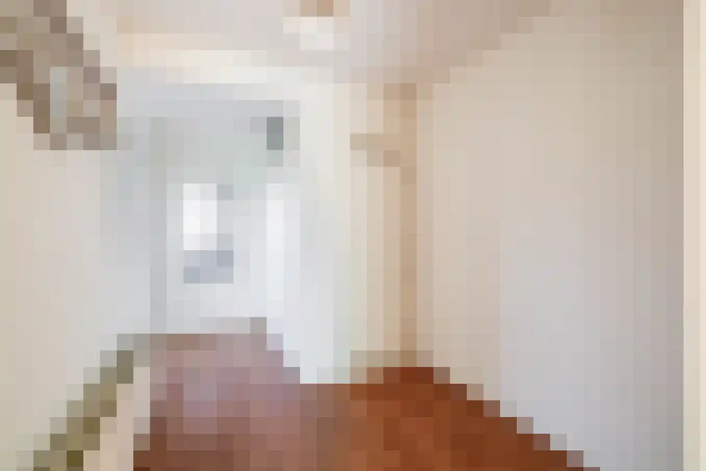 Oostergo 25 Huizen thumbnail 11