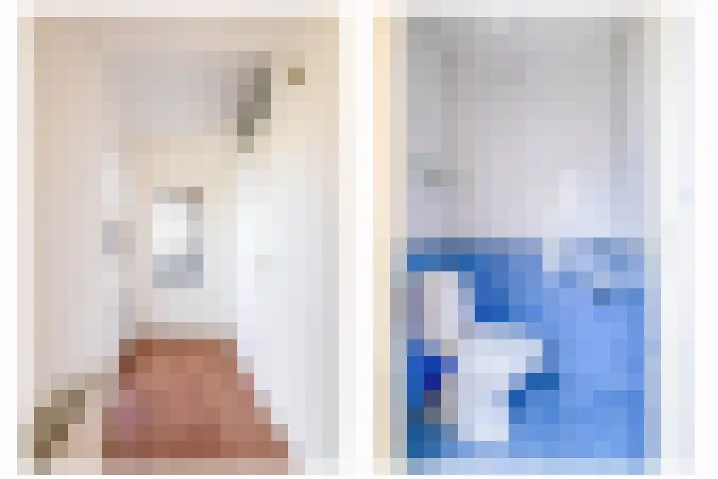Oostergo 25 Huizen thumbnail 13