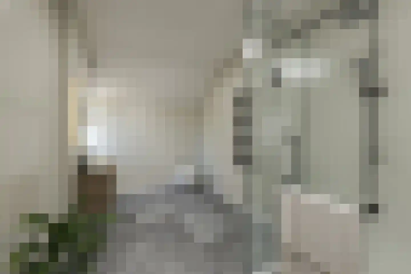 Oostergo 25 Huizen thumbnail 19