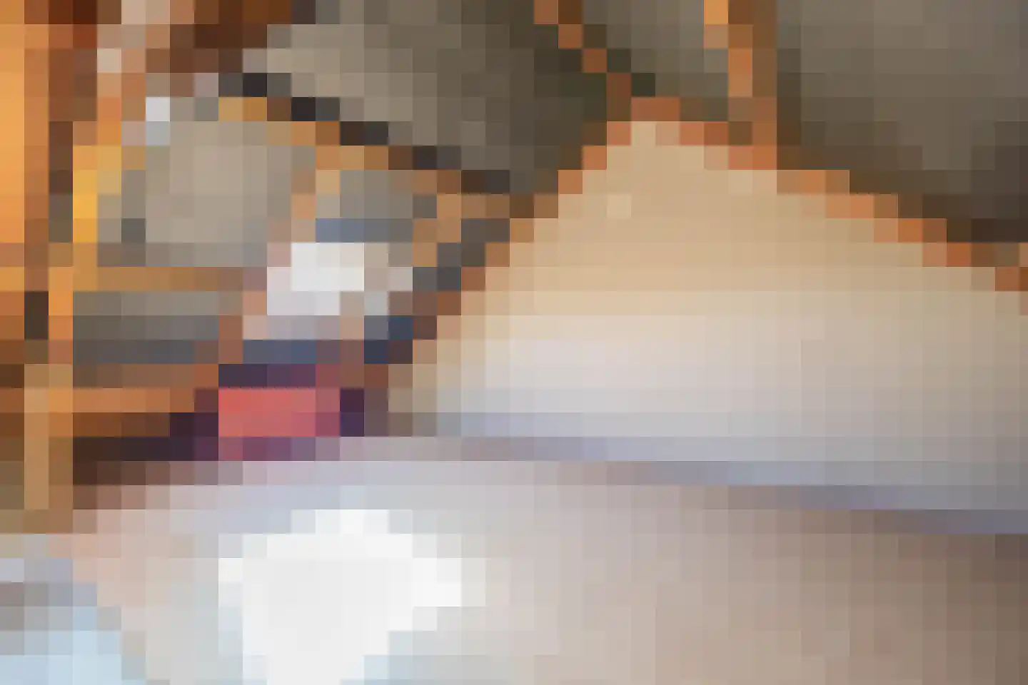 Oostergo 25 Huizen thumbnail 23