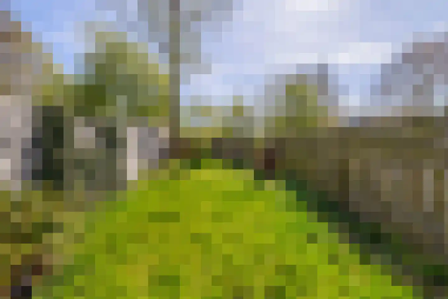 Oostergo 25 Huizen thumbnail 28