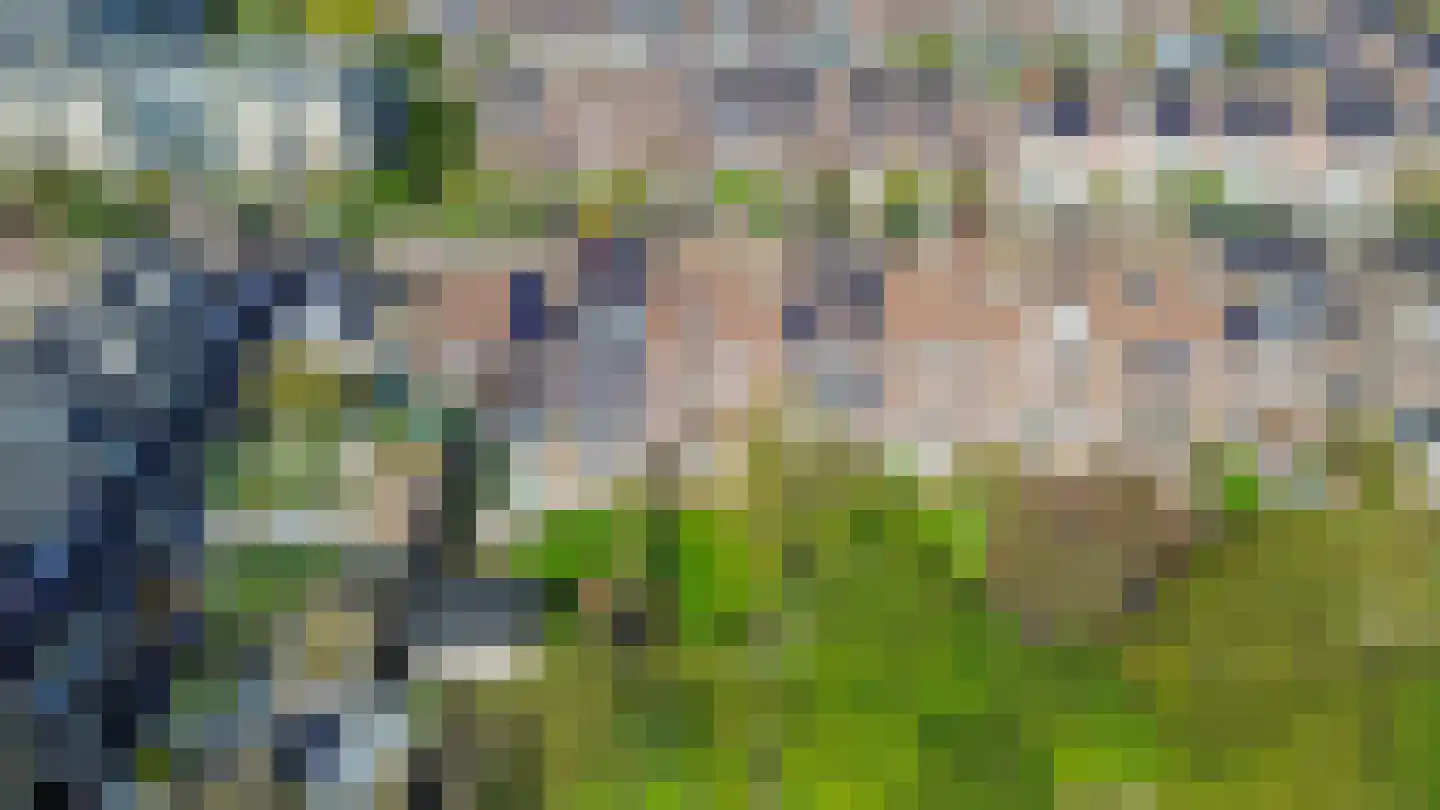 Oostergo 25 Huizen thumbnail 38