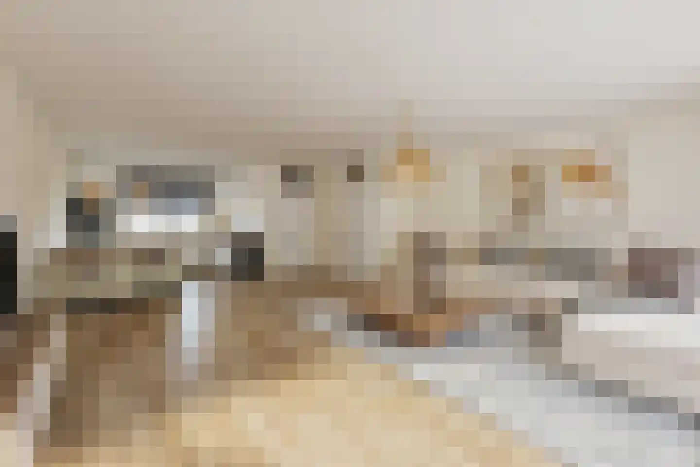 Oostergo 25 Huizen thumbnail 5