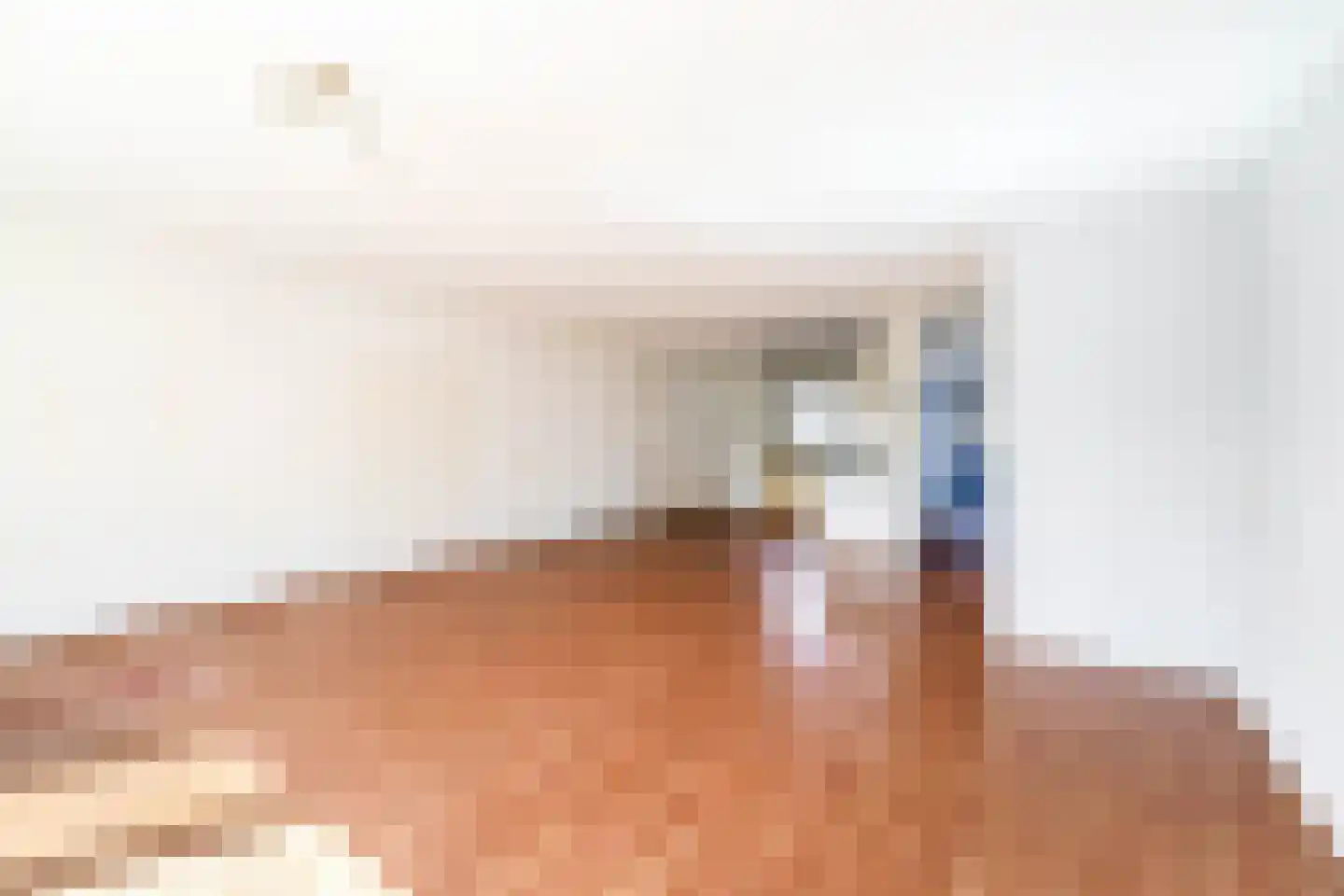 Oostergo 25 Huizen thumbnail 6