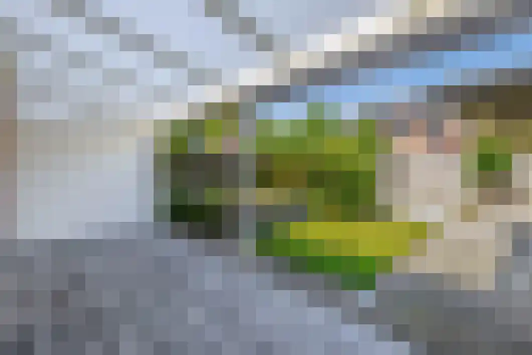 Oostergo 3 Veendam thumbnail 32