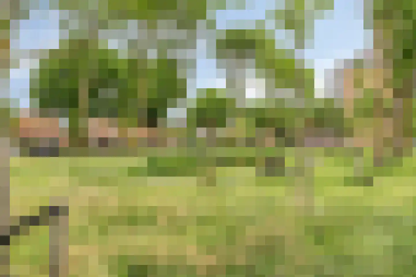 Oostergo 33 Lelystad thumbnail 62