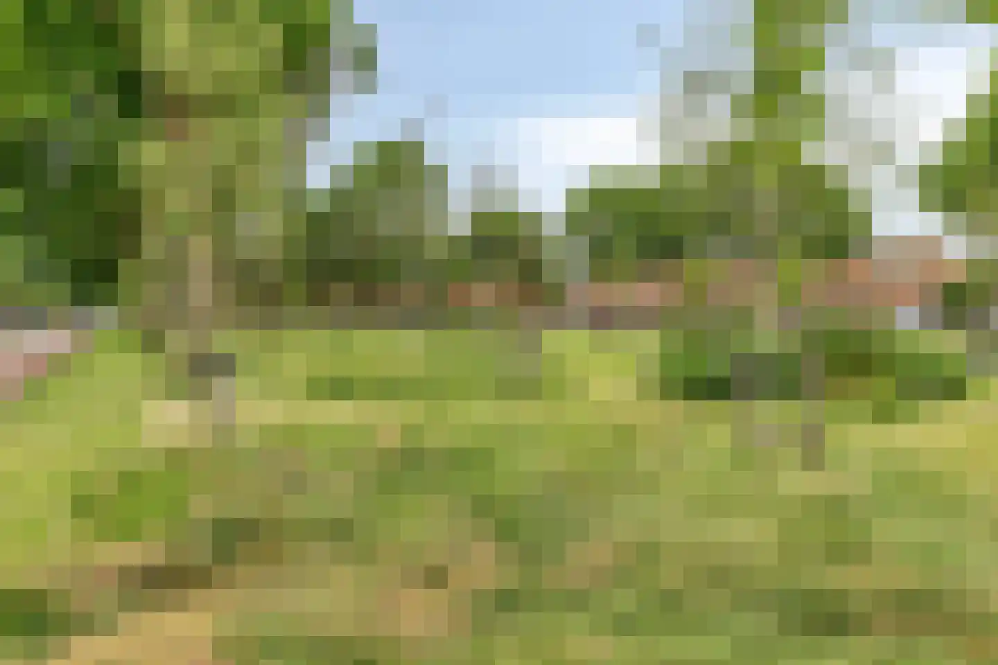 Oostergo 33 Lelystad thumbnail 65