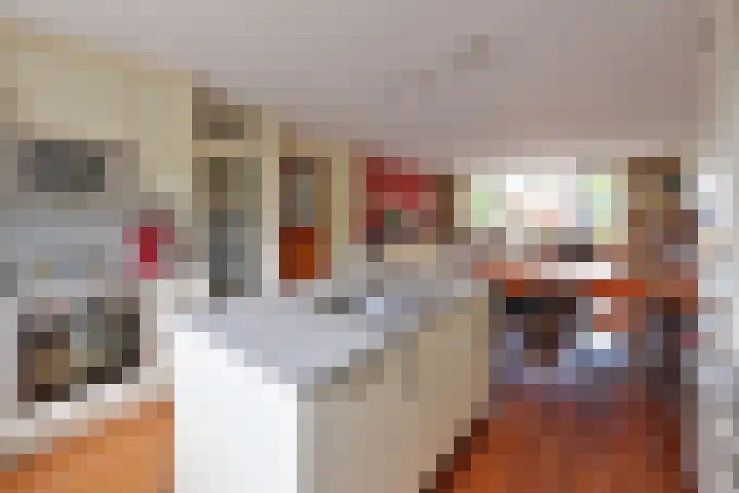 Oostergo 35 Huizen thumbnail 12