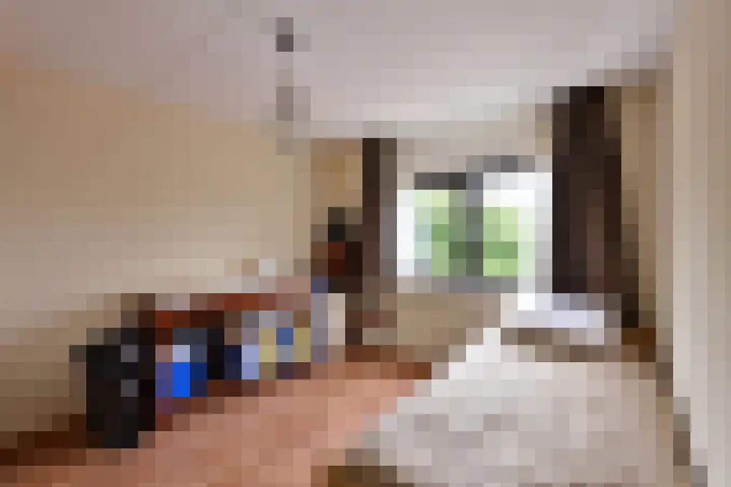 Oostergo 35 Huizen thumbnail 16