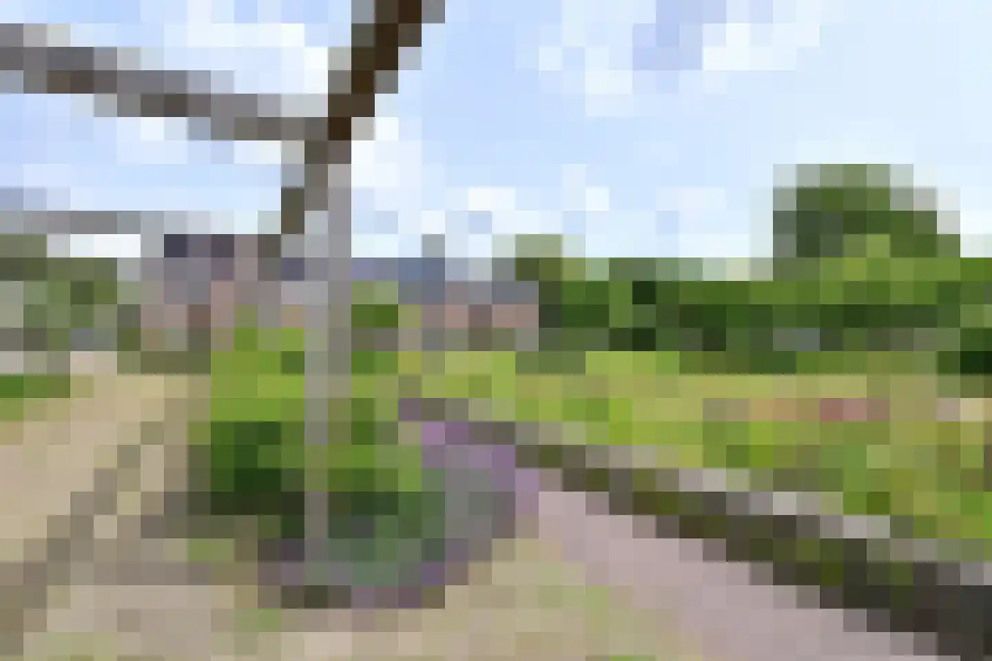 Oostergo 35 Huizen thumbnail 20