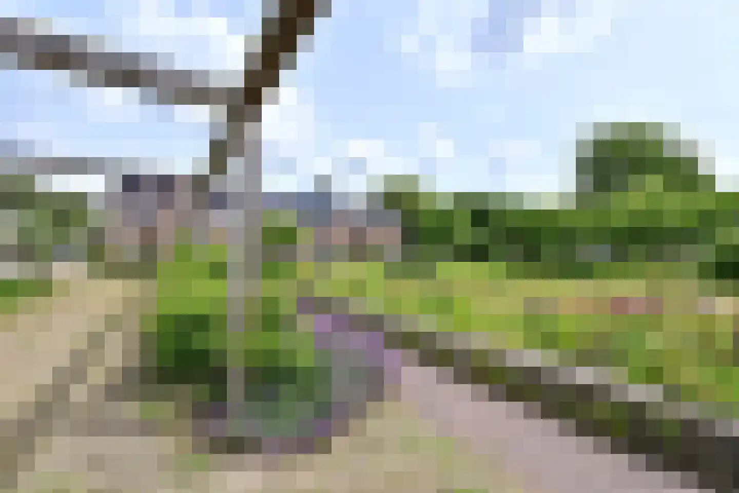 Oostergo 35 Huizen thumbnail 20