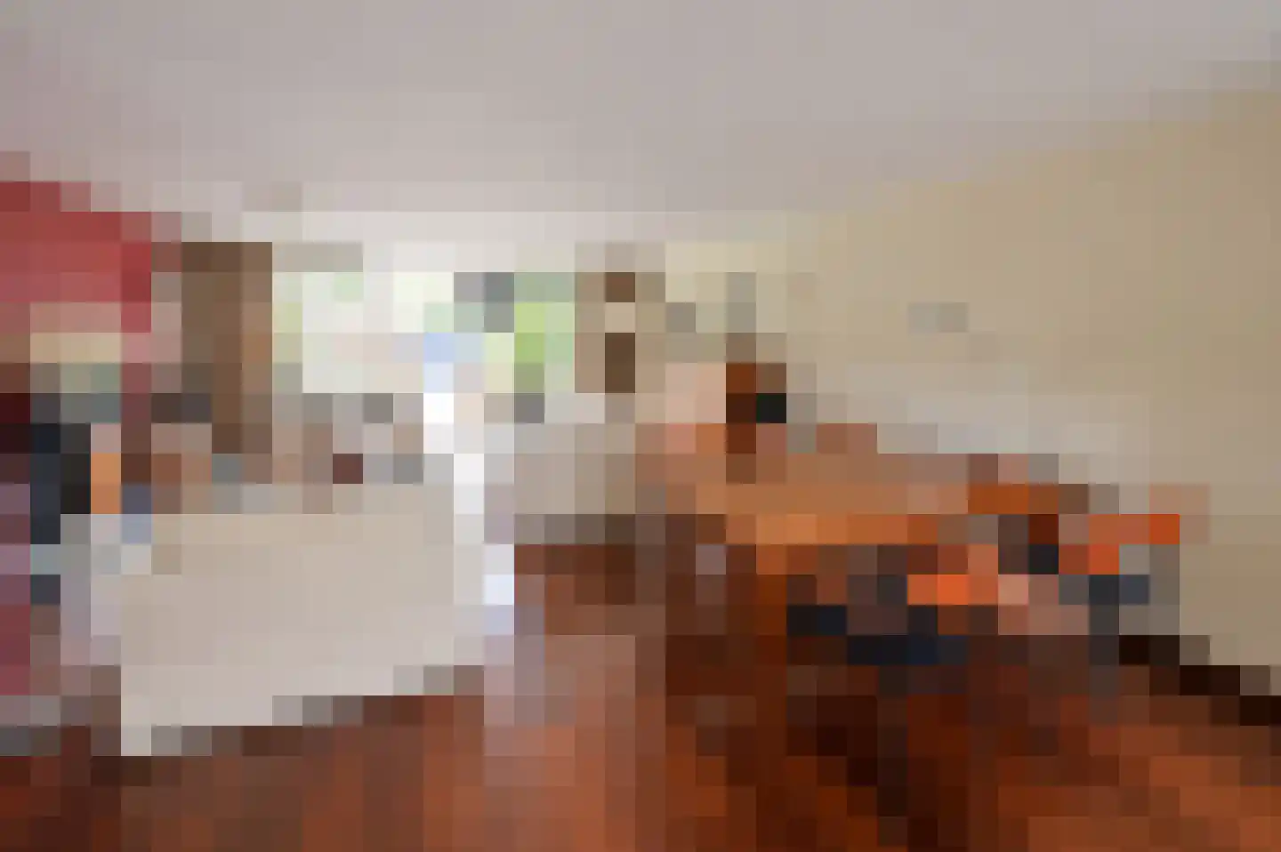 Oostergo 35 Huizen thumbnail 7
