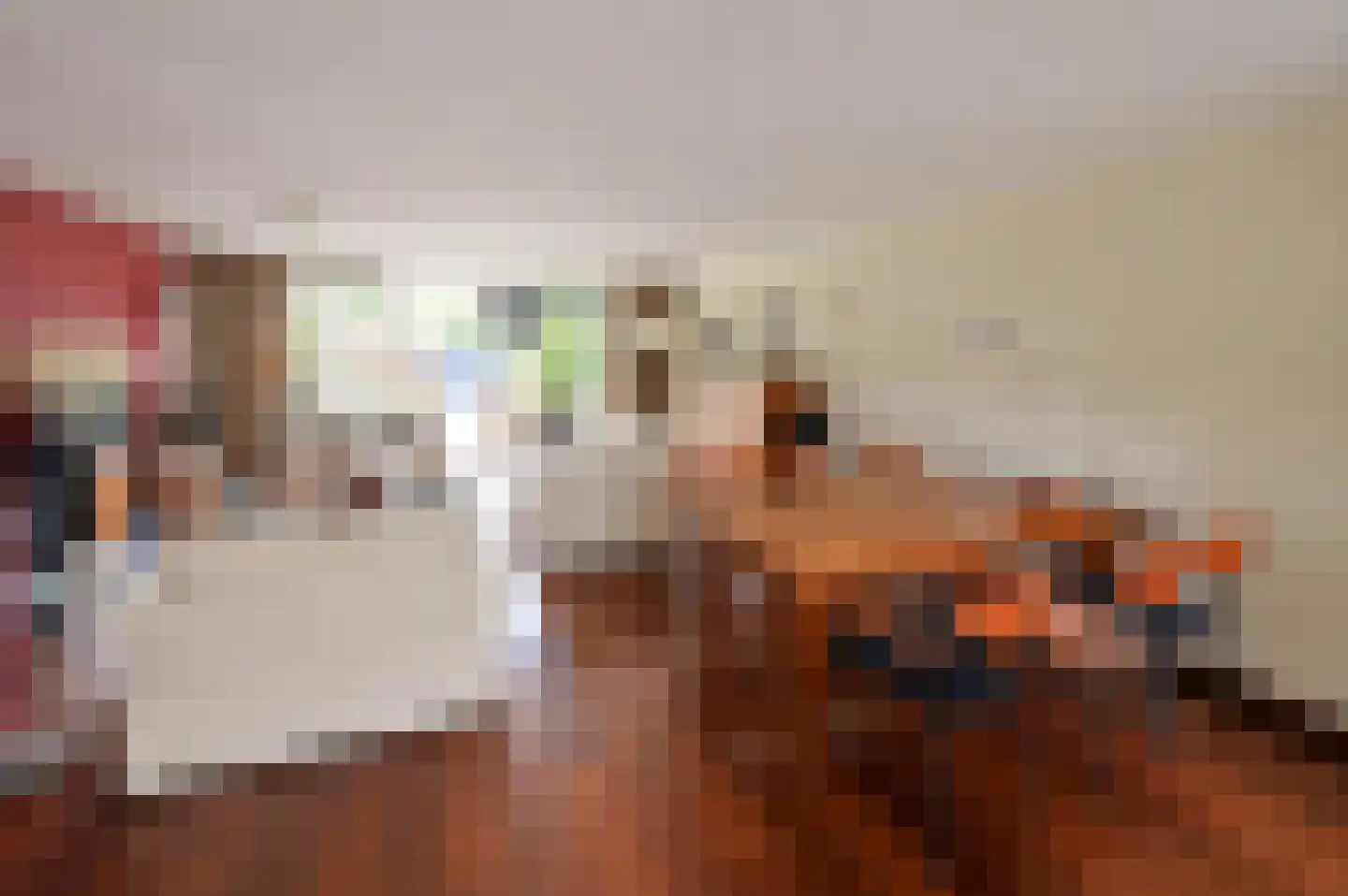 Oostergo 35 Huizen thumbnail 7