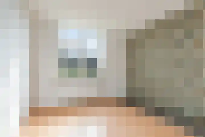 Oostergo 36 Zeewolde thumbnail 18