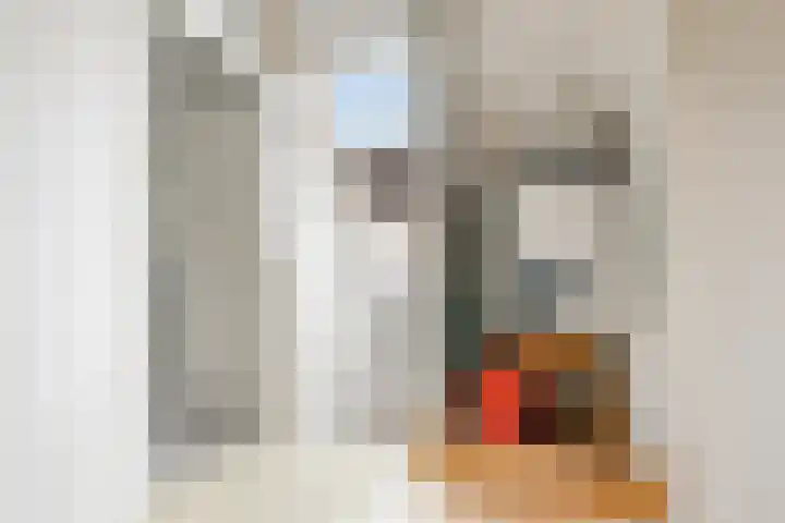 Oostergo 36 Zeewolde thumbnail 31