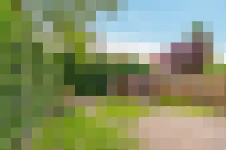 Oostergo 36 Zeewolde thumbnail 32