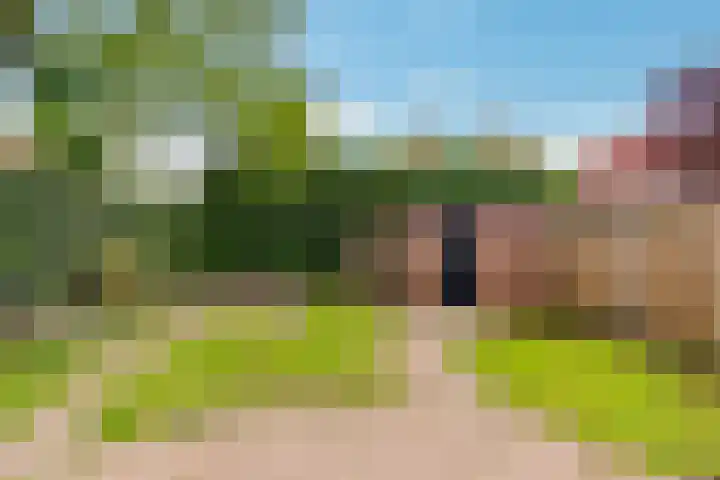 Oostergo 36 Zeewolde thumbnail 33