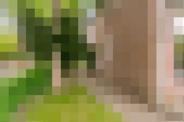 Oostergo 36 Zeewolde thumbnail 37