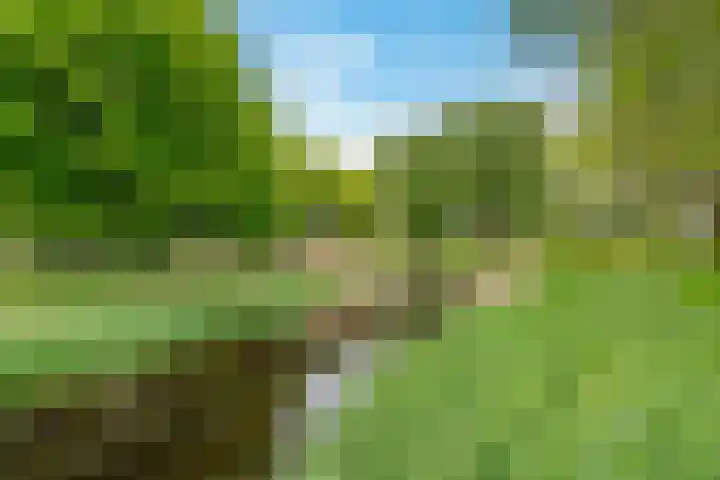 Oostergo 36 Zeewolde thumbnail 45