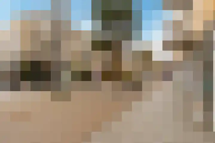 Oostergo 36 Zeewolde thumbnail 46