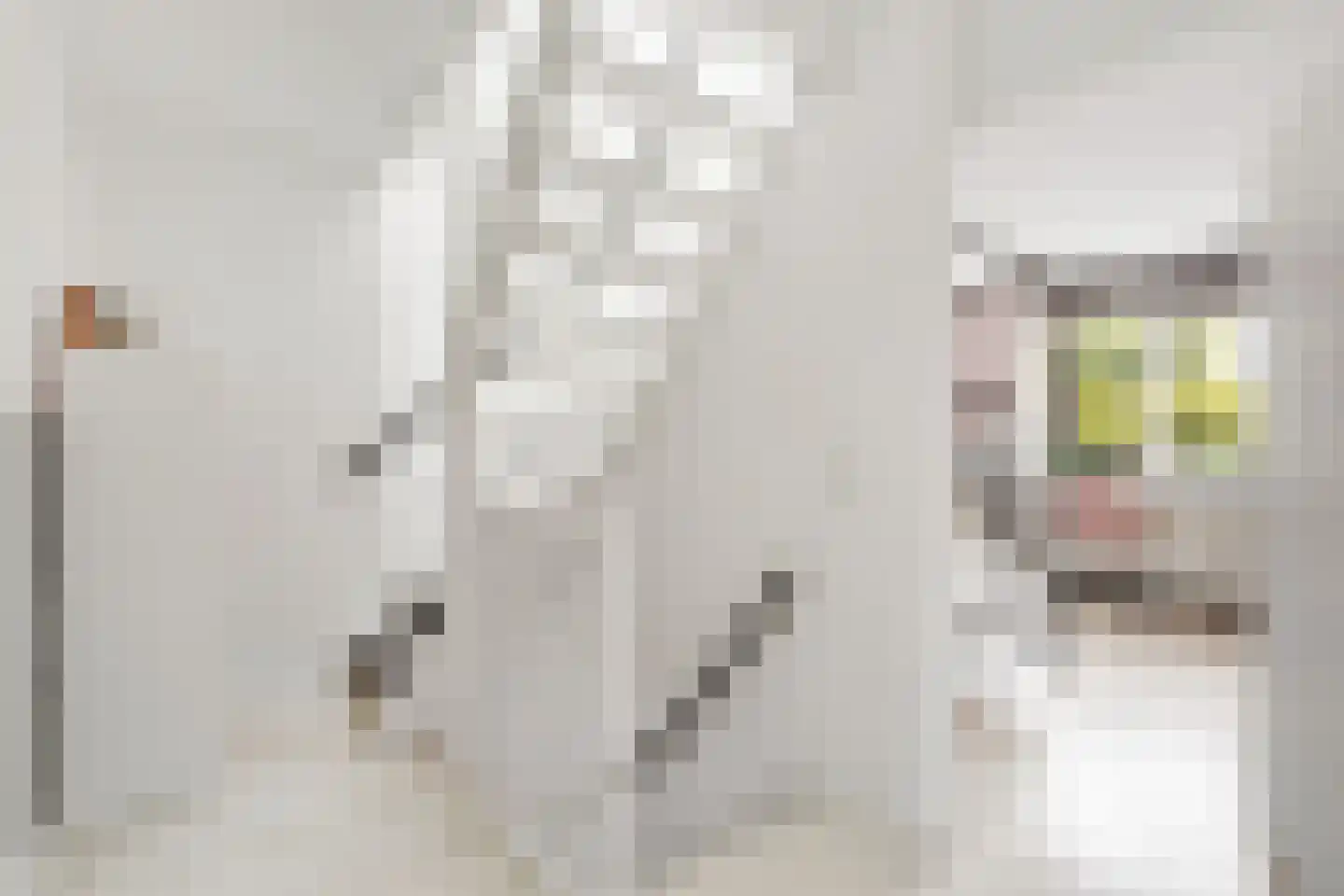 Oostergo 42 Zeewolde thumbnail 19