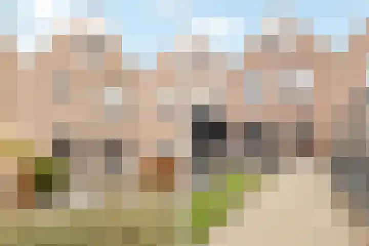 Oostergo 42 Zeewolde thumbnail 37