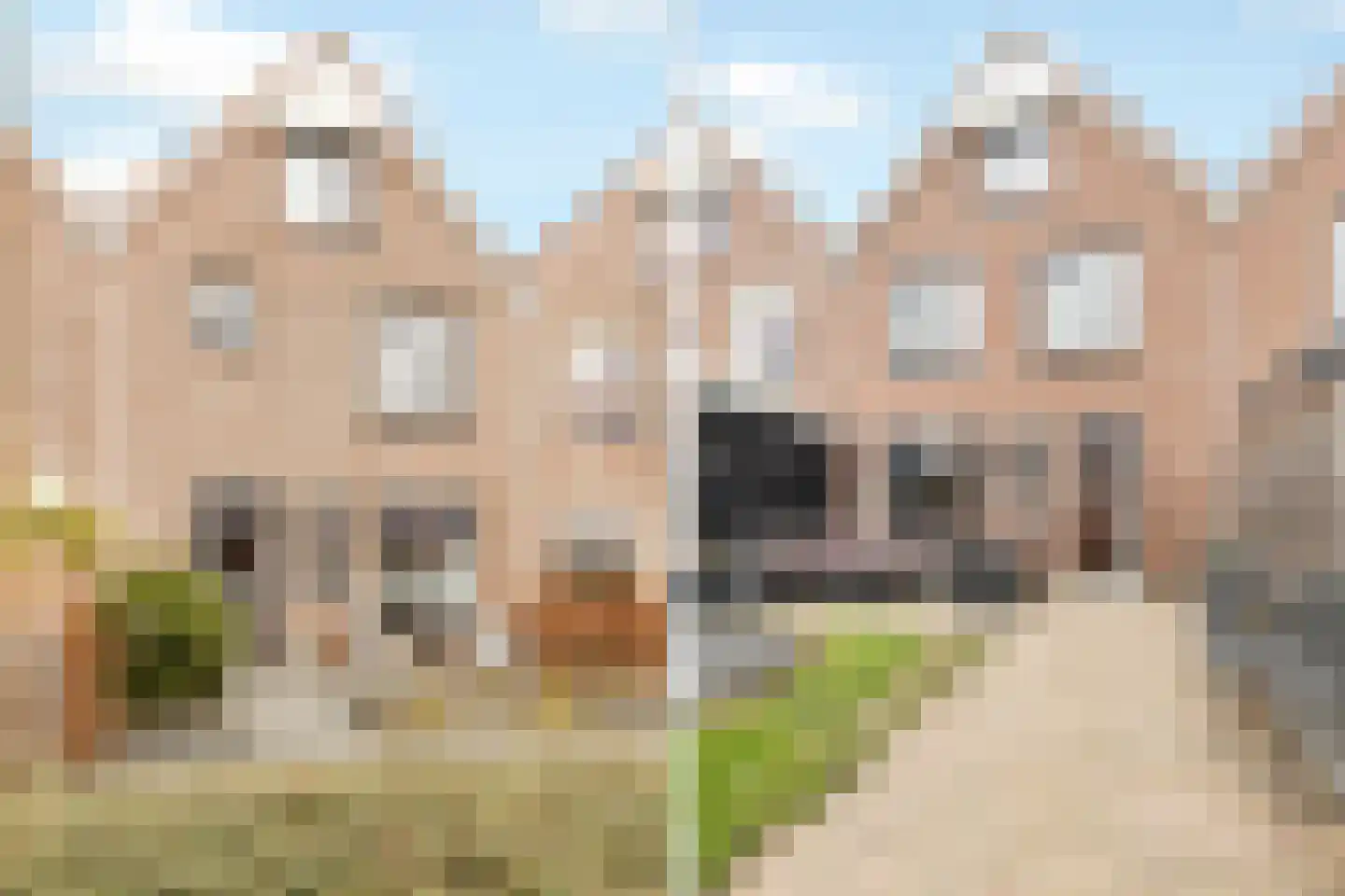 Oostergo 42 Zeewolde thumbnail 37