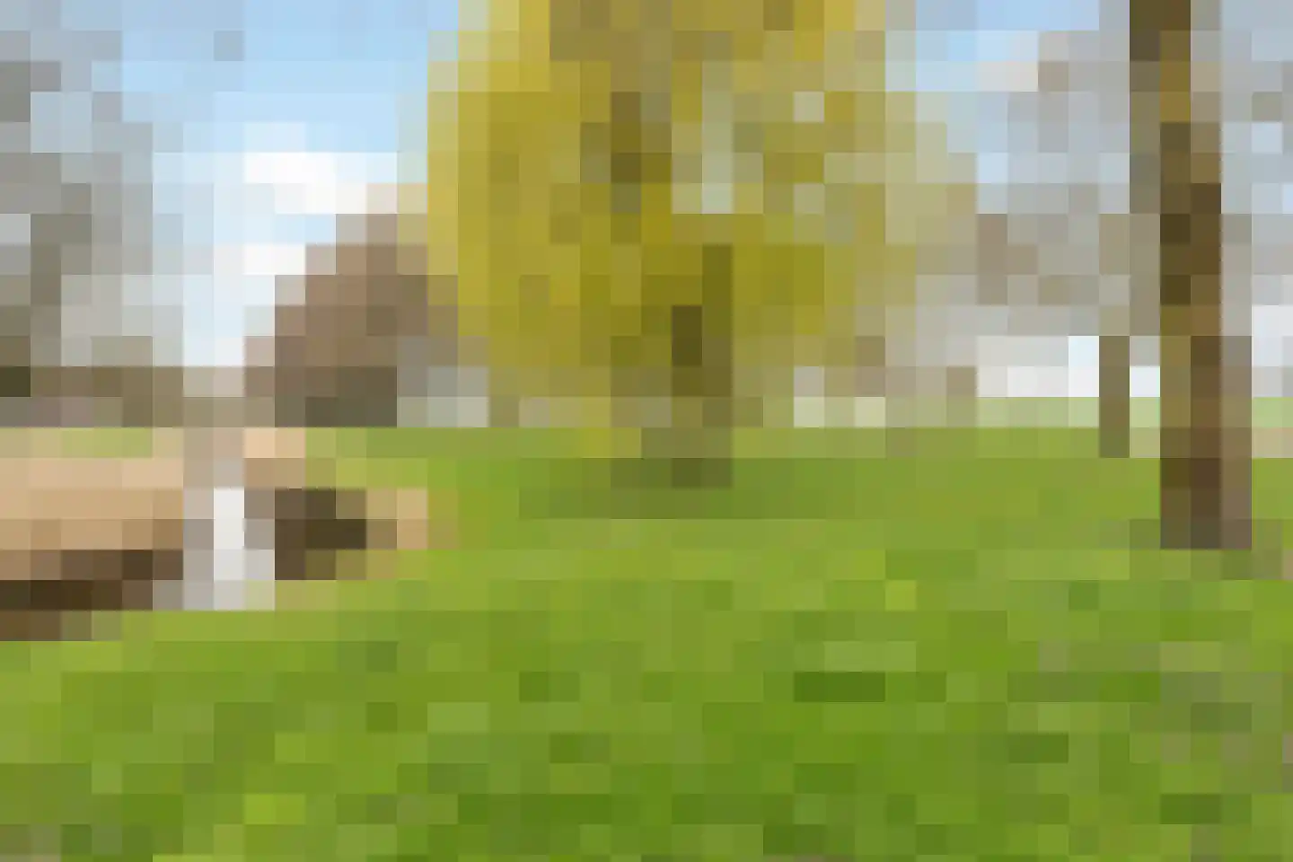 Oostergo 42 Zeewolde thumbnail 39