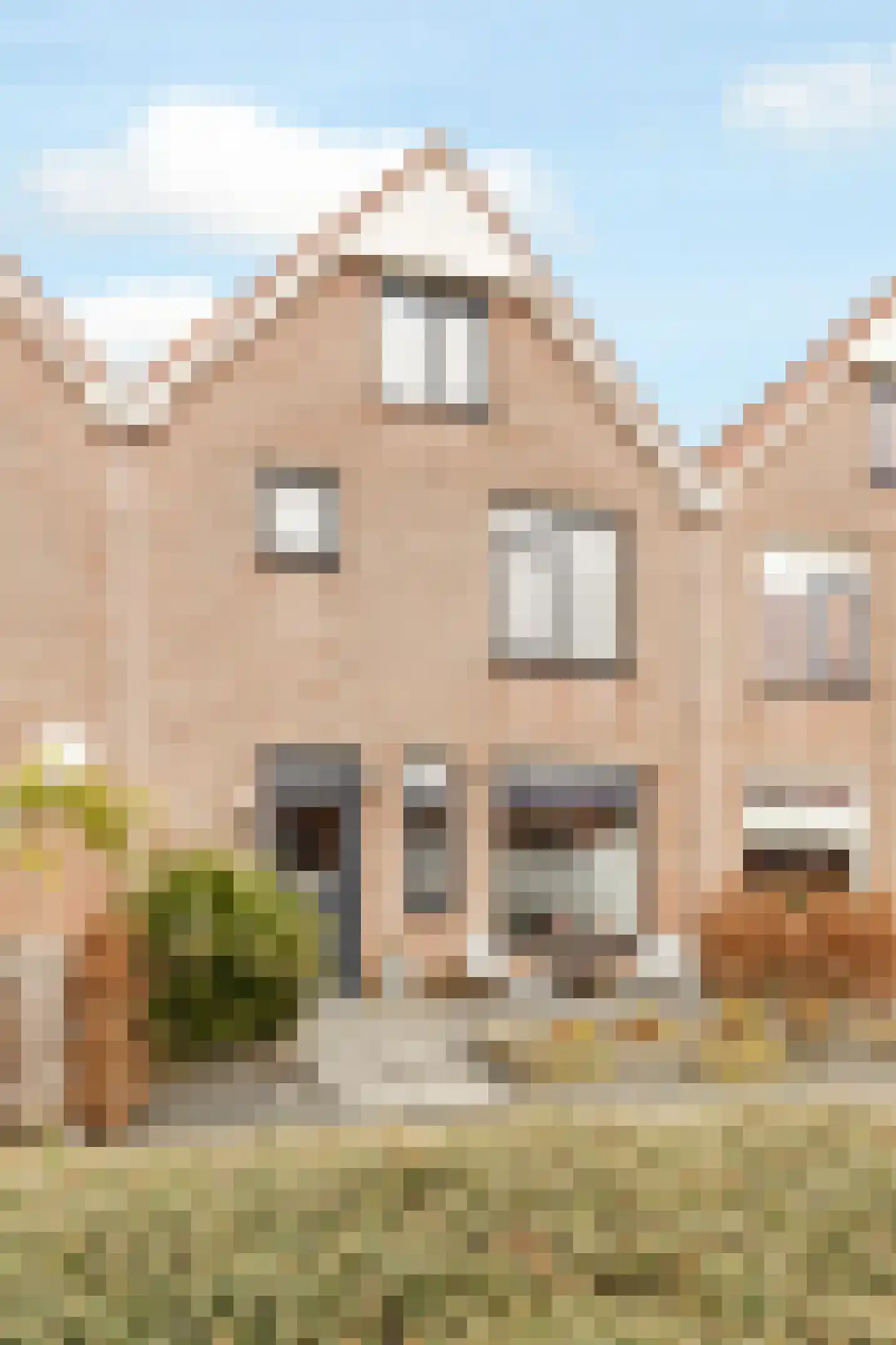 Oostergo 42 Zeewolde thumbnail 4