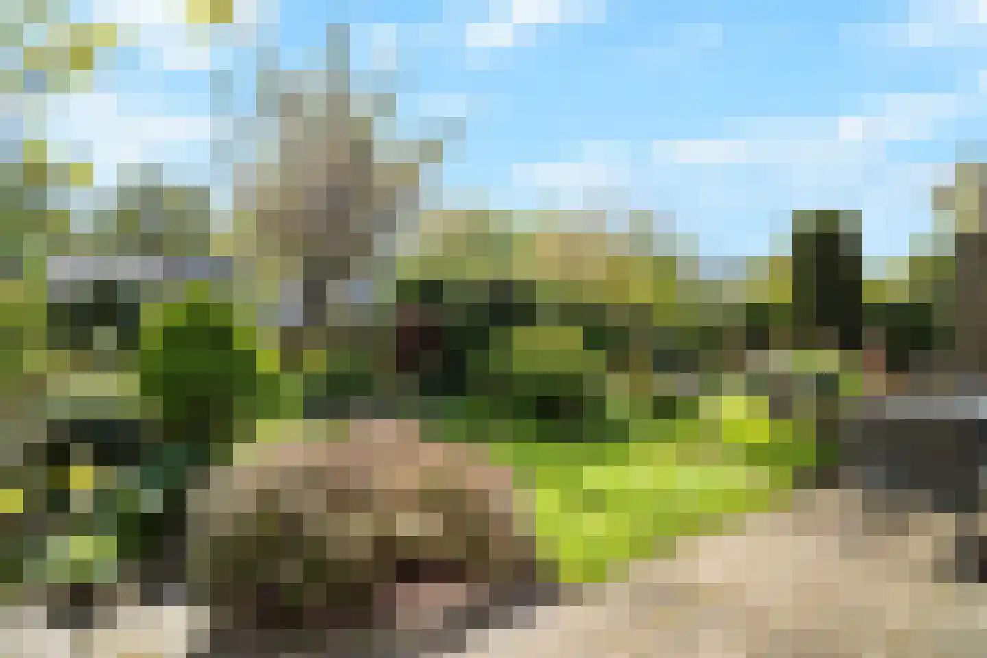 Oostergo 46 Zoetermeer thumbnail 13